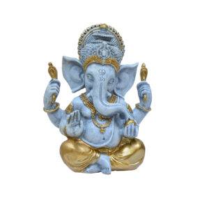 GANESHA CINZA M