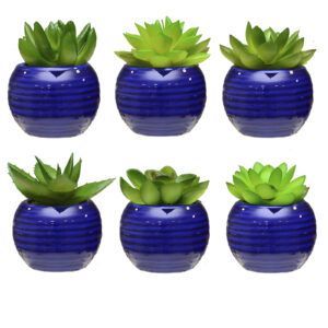 VASO AZUL RED C/PLANT