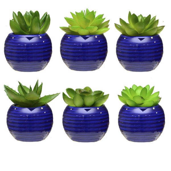 VASO AZUL RED C/PLANT