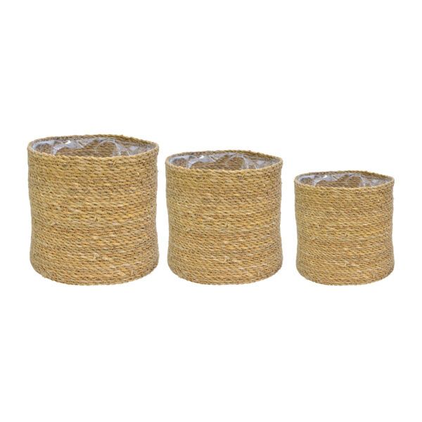 P/M/G TRIO CACHEPOT