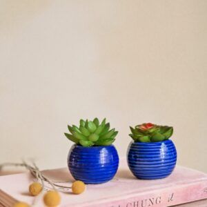 VASO AZUL RED C/PLANT