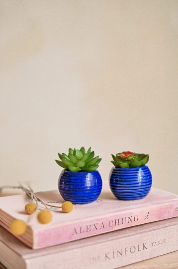 VASO AZUL RED C/PLANT - Image 2