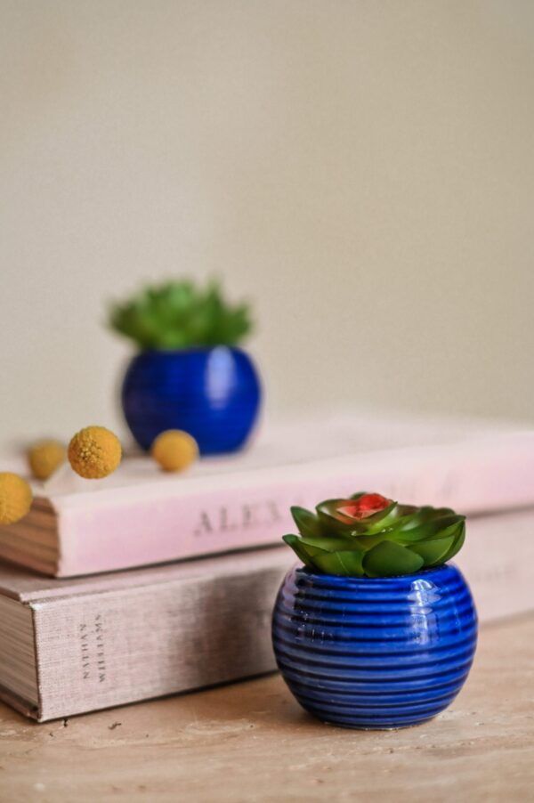 VASO AZUL RED C/PLANT - Image 3