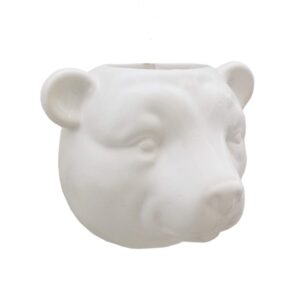 CACH CAB URSO BR P