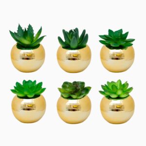 MINI VASO DOU C/ PLANTA