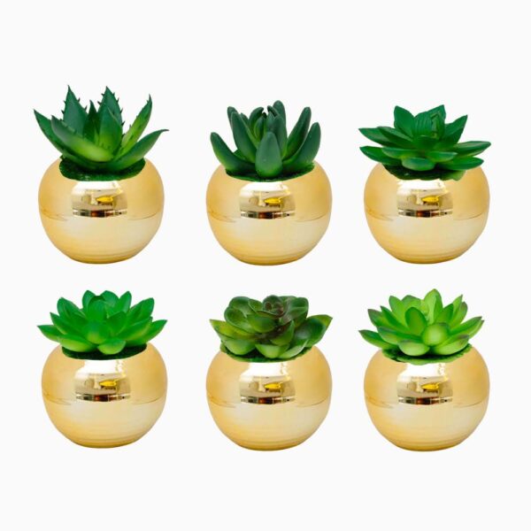MINI VASO DOU C/ PLANTA