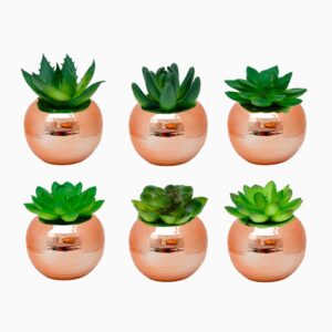 MINI VASO ROSE C/ PLANTA