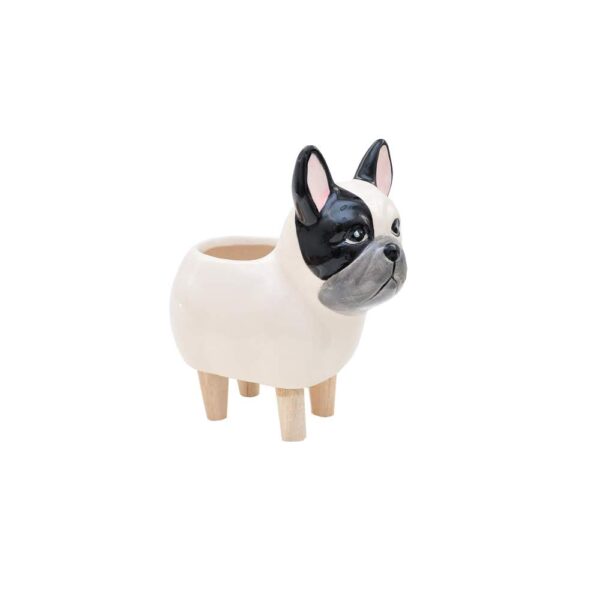 CACH BULLIE PE MAD - Image 4