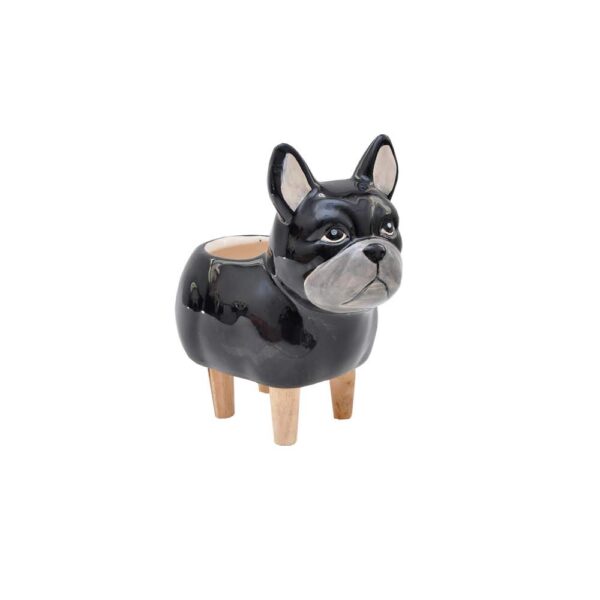 CACH BULLIE PE MAD - Image 5