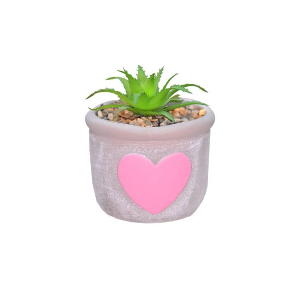 VASO CORAÇÃO C/ SUCULENTA - Image 4