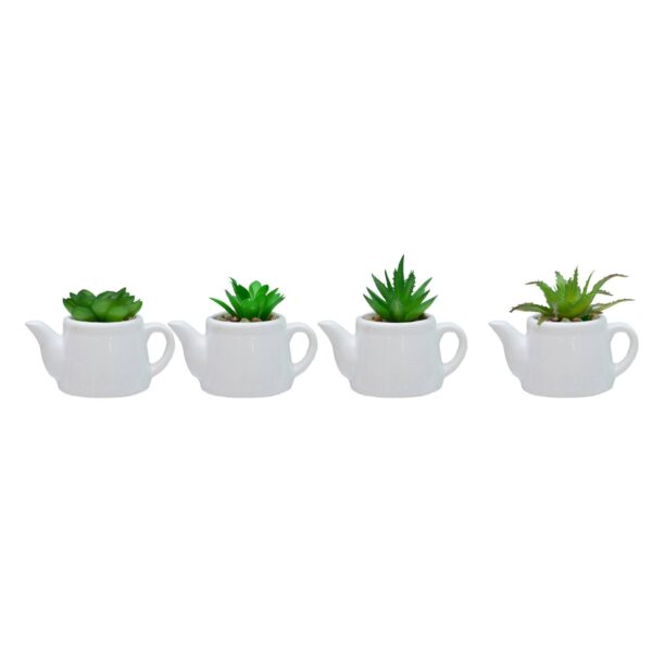 VASO BULE C/ SUCULENTA