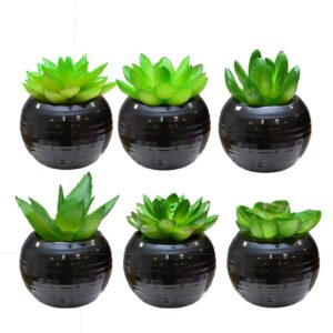MINI VASO PRE C/ PLANTA