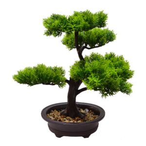 BONSAI (1)