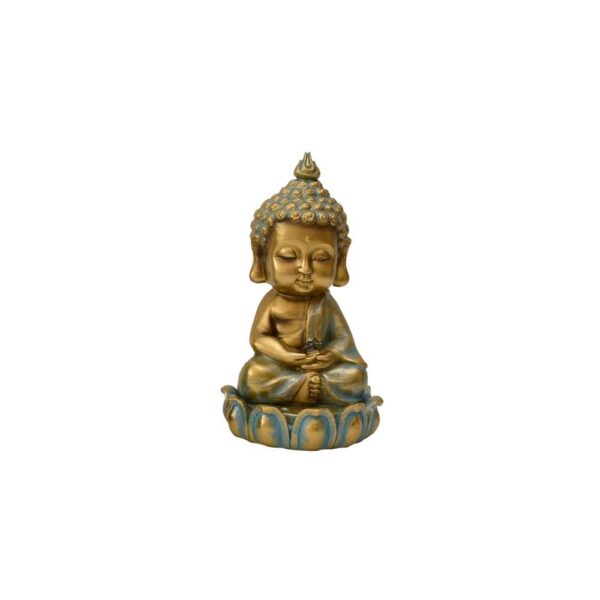 BUDA BOCH AZUL LOT - Image 3