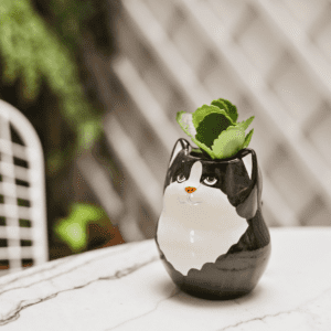 CACHEPOT GATO