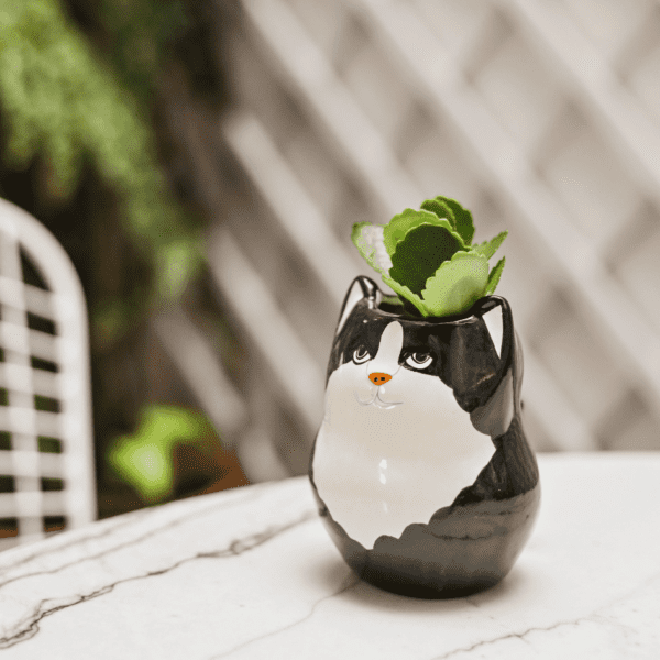 CACHEPOT GATO - Image 2