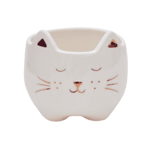 CACH GATO ROSE P