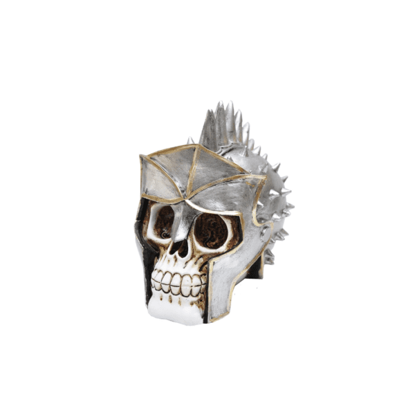 CRANIO GLADIADOR