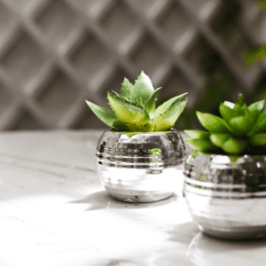 MINI VASO PRA C/ PLANTA