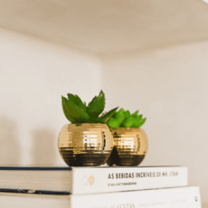 MINI VASO DOU C/ PLANTA