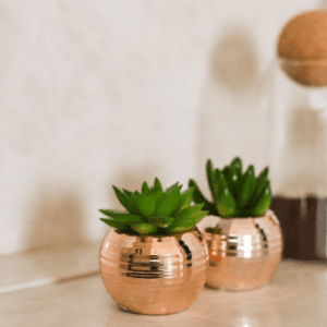 MINI VASO ROSE C/ PLANTA
