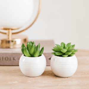 MINI VASO BRA C/ PLANTA