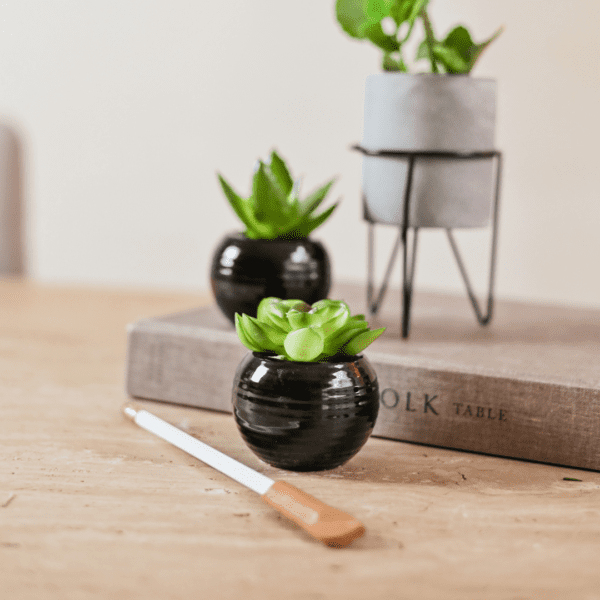 MINI VASO PRE C/ PLANTA - Image 2
