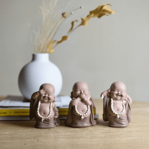 MINI MONGE SAB - Image 2