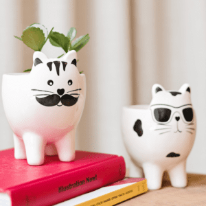 CACHEPOT GATO COOL