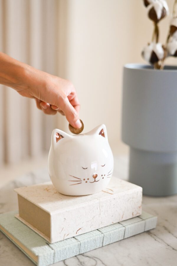 PT MOEDA GATO ROSE - Image 2