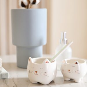 CACH GATO ROSE P