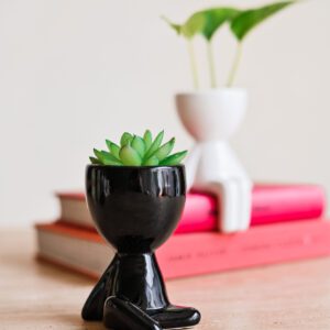 CACHEPOT BOB 2 PR/BR