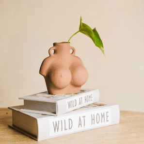 JUG TERRACOTA WB