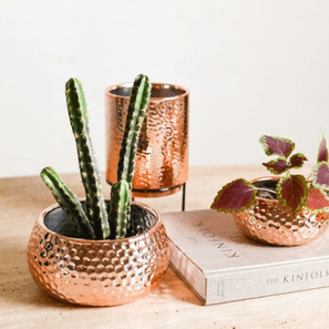 DUPLA VASO BACIA ROSE