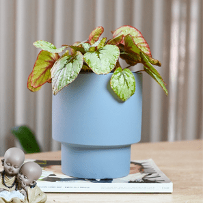 VASO AZUL MÉD CIMENTO