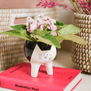 CACHEPOT GATO TRIPE
