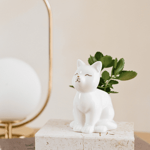 CACHEPOT GATO BRANCO