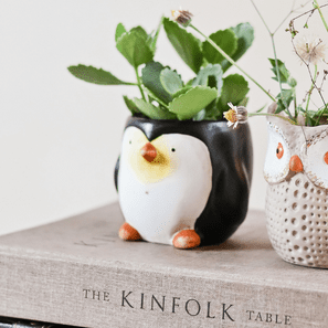 CACHEPOT PINGUIM