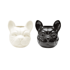 CACHEPOT BULLDOG