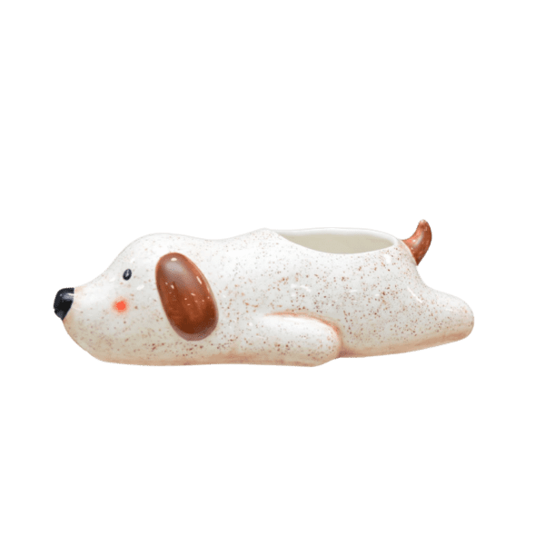 CACH CACHORRO DEITADO